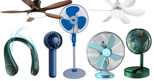 Fan